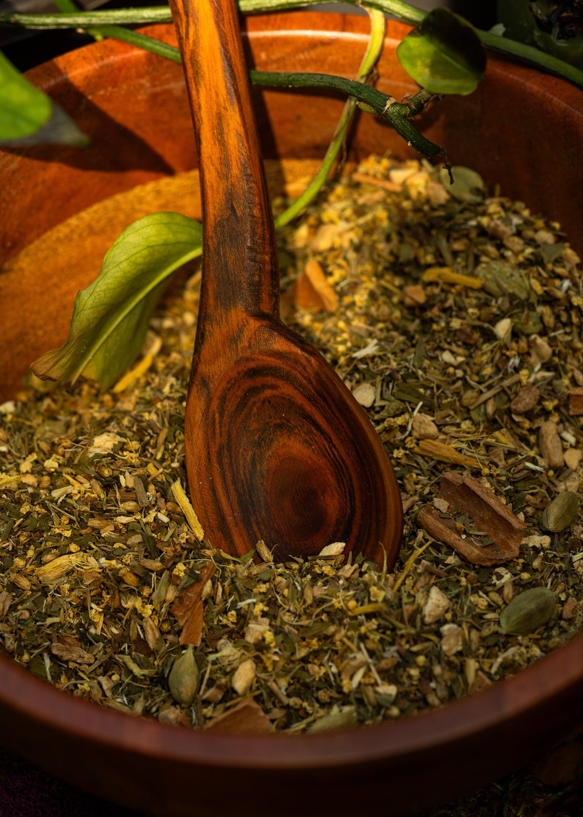 Tierra Magic (Wellness & Immunity Booster Tea)