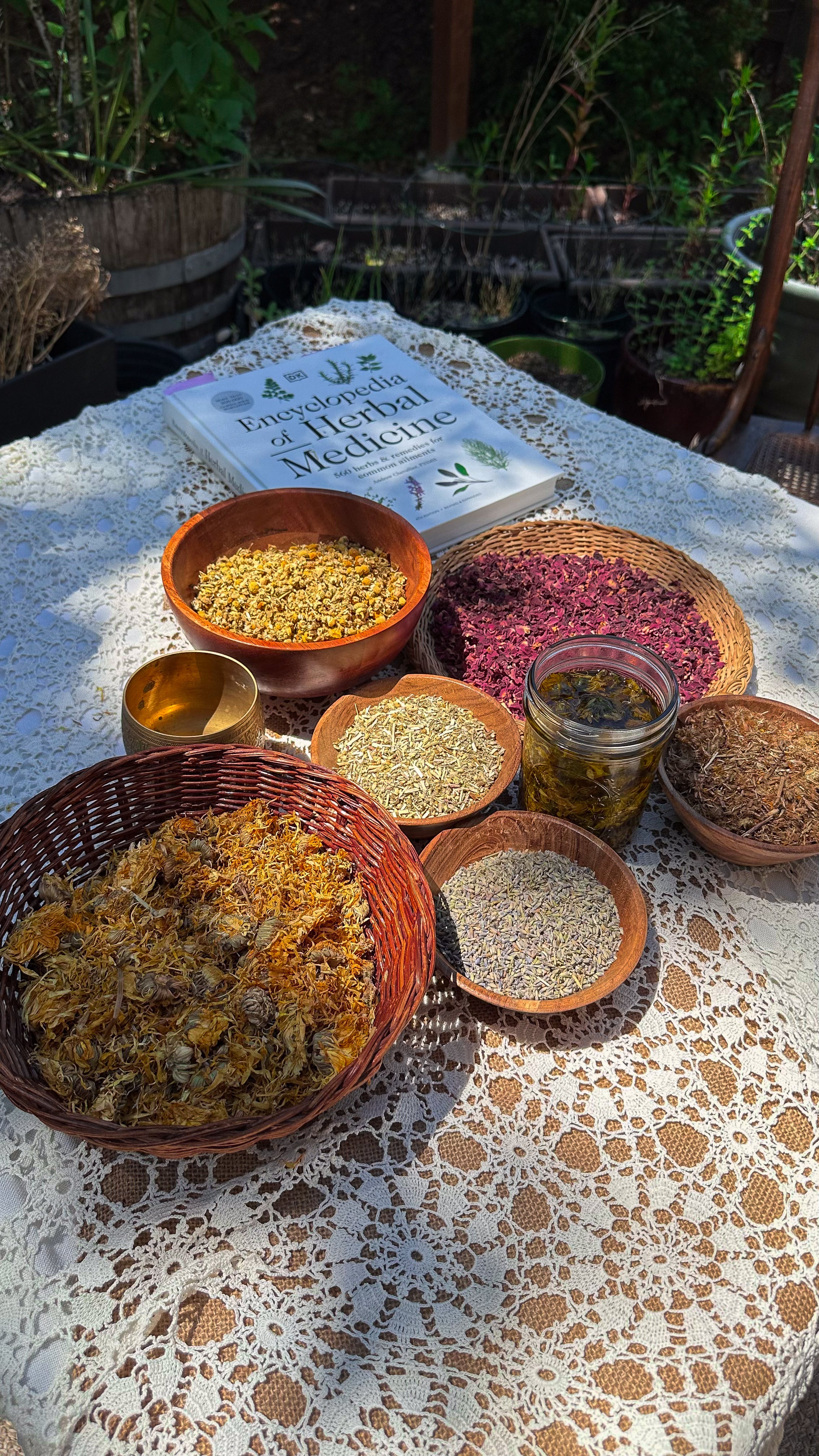 Building Your Herbal Medicine Cabinet: An intro to Herbal Tea Crafting